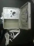 meridian health detection system