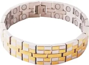 Bio Magnetic Bracelet Double Line