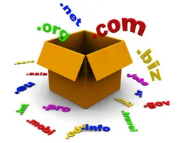 Domain Registeration Service