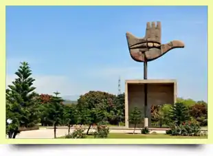 MLM Software in Chandigarh