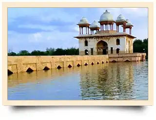 MLM Software in Mahendragarh