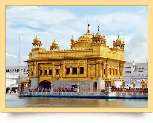MLM Software in Amritsar