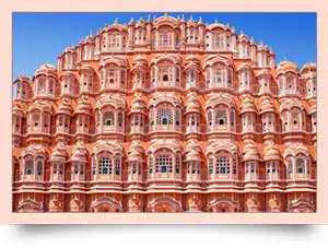 MLM Software Jaipur