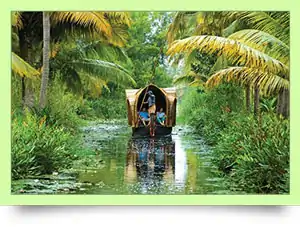 MLM Software in Kerala