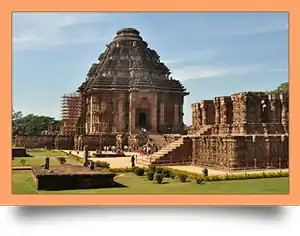 MLM Software in Odisha