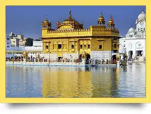 MLM Software in Punjab