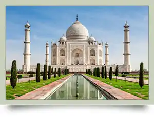 MLM Software in Uttar Pradesh