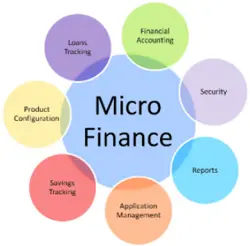 Microfinance Software