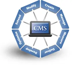 Website Content Management System Development